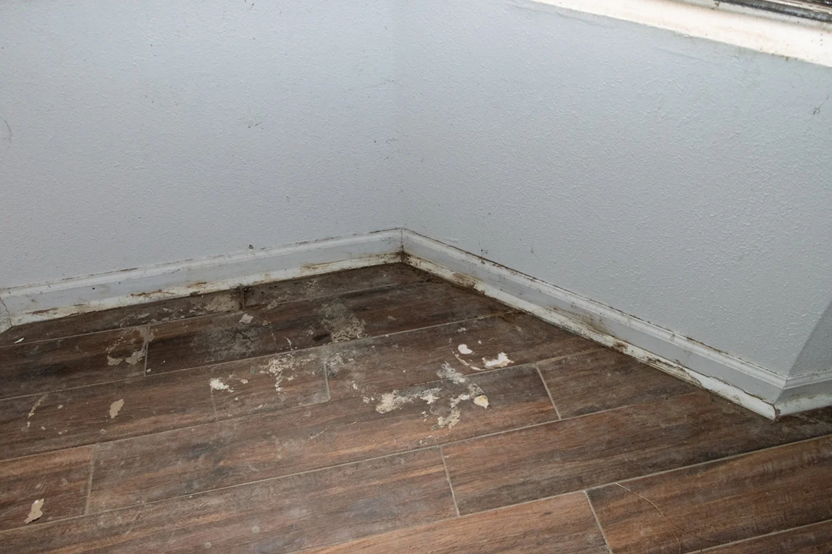 Crawl Space Repair