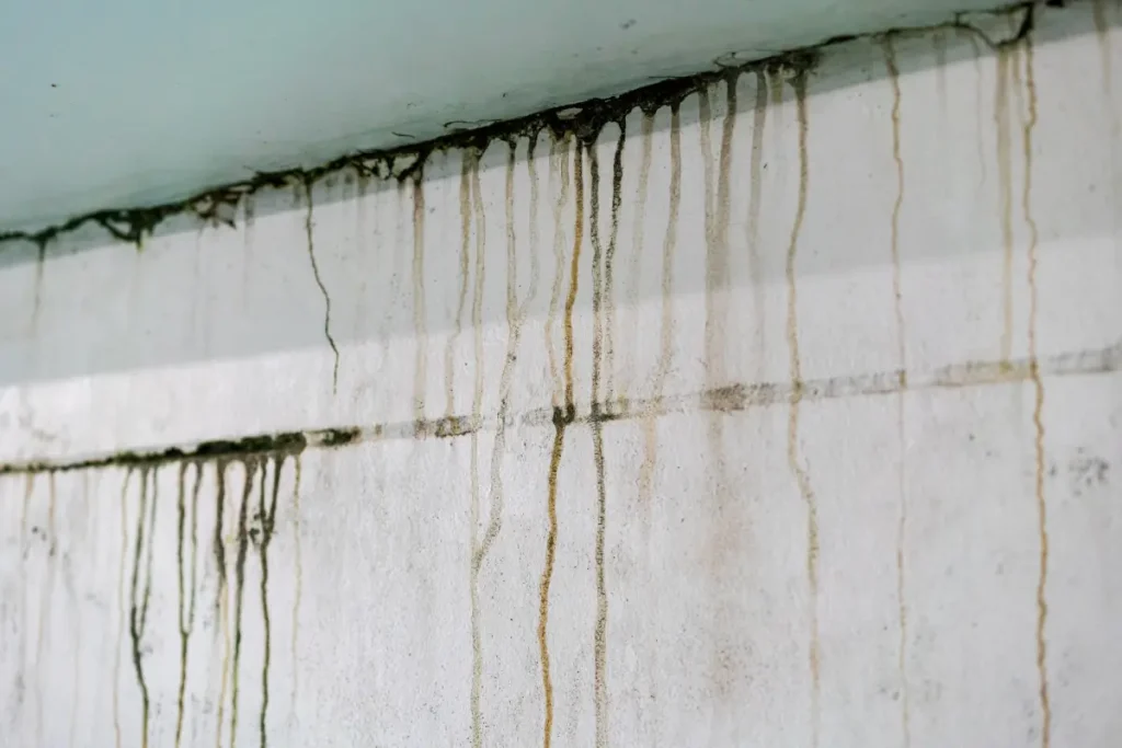 Basement After Heavy Rain
