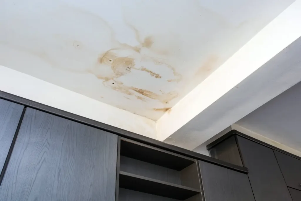 Mold in Your Crawl Space